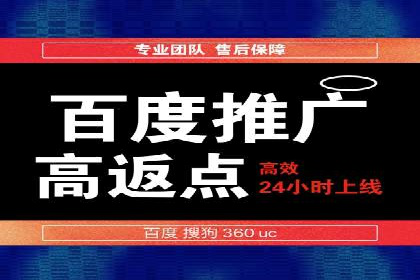 探索SEM托管公司经典案例：助力企业快速成长